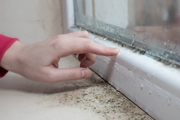 Best Forensic Mold Investigation  in Tallapoosa, GA