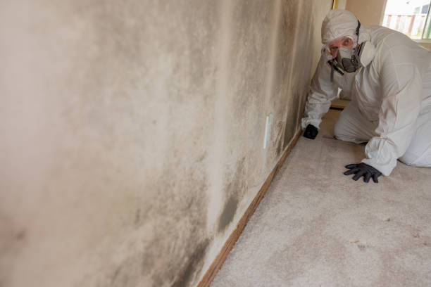 Mold Documentation for Insurance Claims in Tallapoosa, GA
