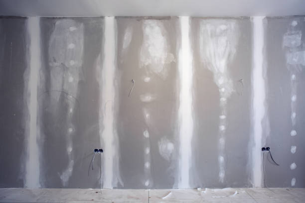 Best Mold Odor Removal Services  in Tallapoosa, GA
